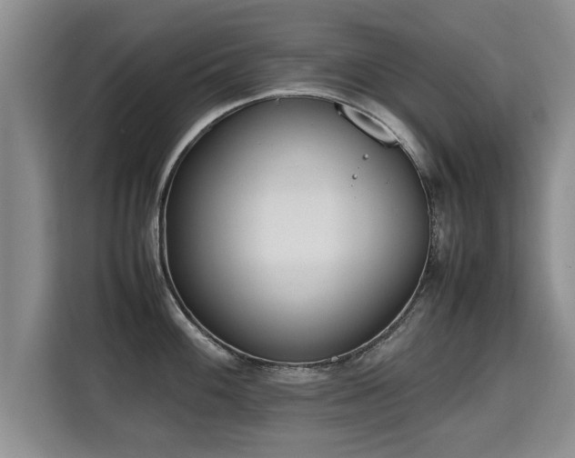 X0000115741100200911191440