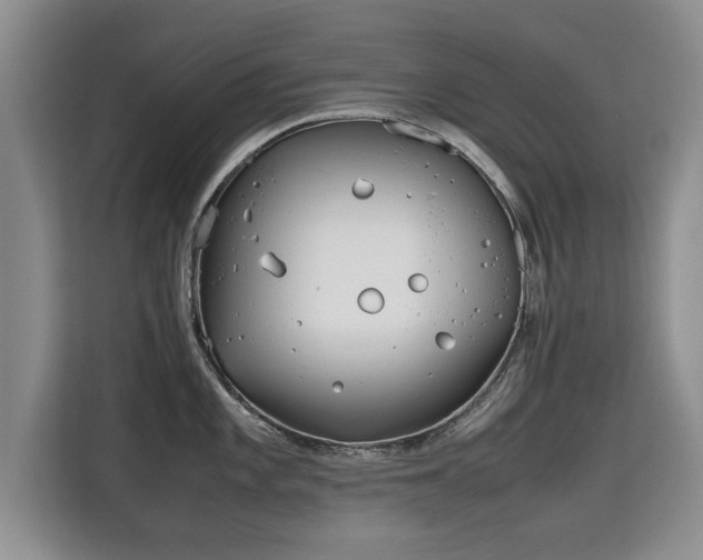 X0000115741101200911191440