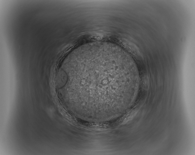 X0000115741105200911191439