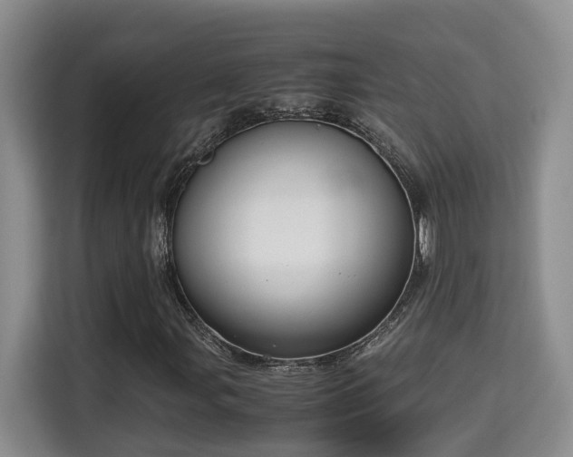 X0000115741107200911191439