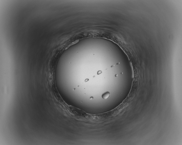 X0000115741109200911191439