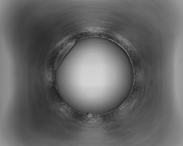 X0000115741110200911191439