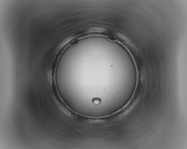 X0000115741113200911191440