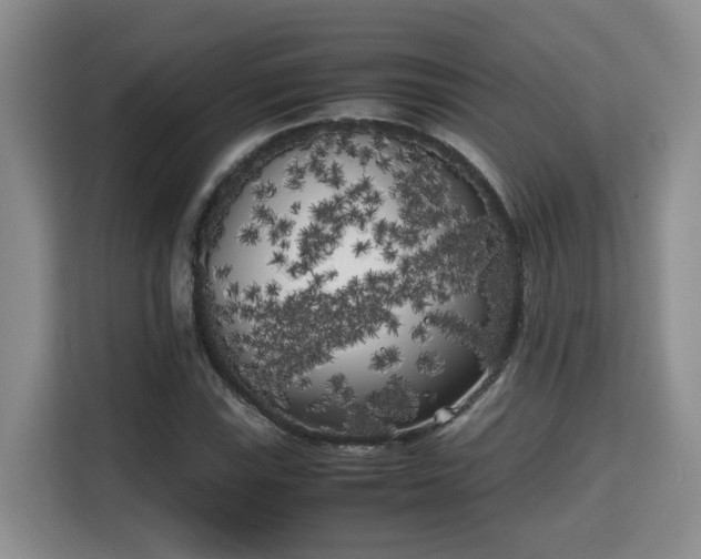 X0000115741115200911191440
