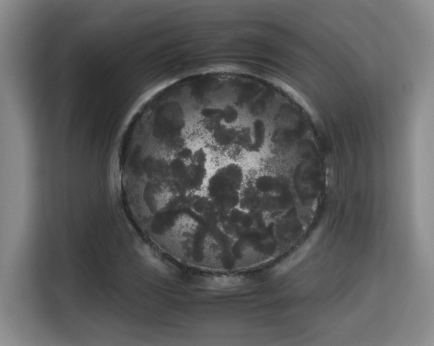 X0000115741117200911191440