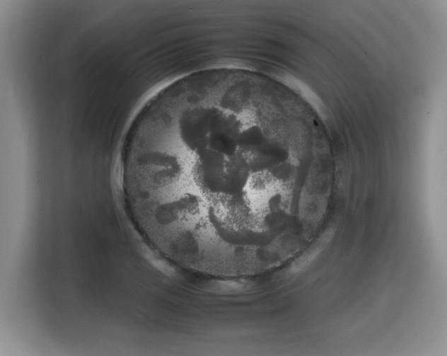 X0000115741125200911191440