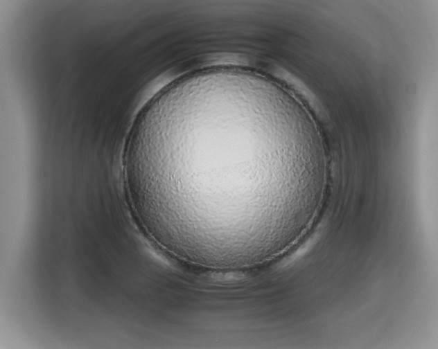 X0000115741129200911191440