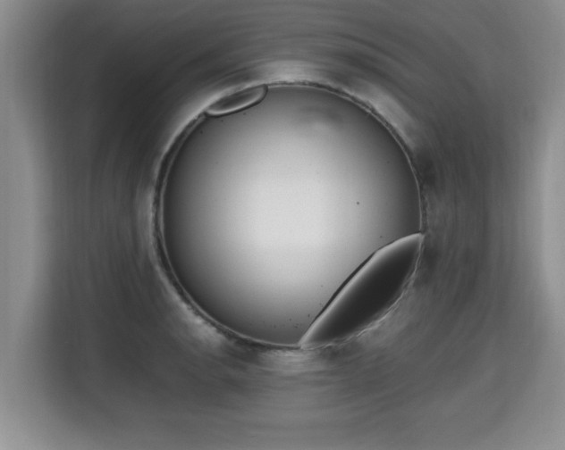 X0000115741134200911191440