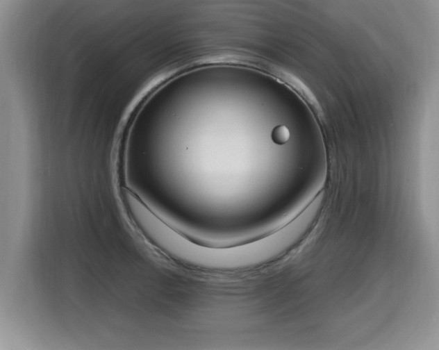 X0000115741138200911191440