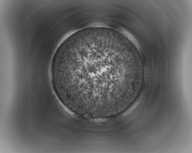 X0000115741141200911191440
