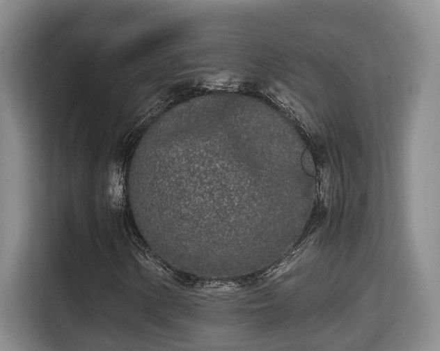 X0000115741154200911191439