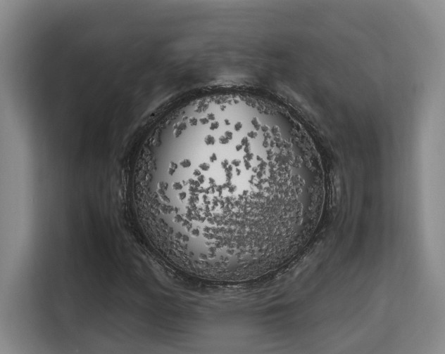 X0000115741158200911191439