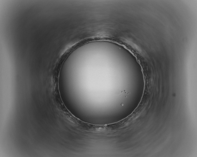 X0000115741160200911191439