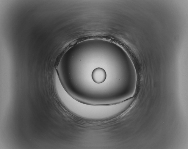 X0000115741161200911191439