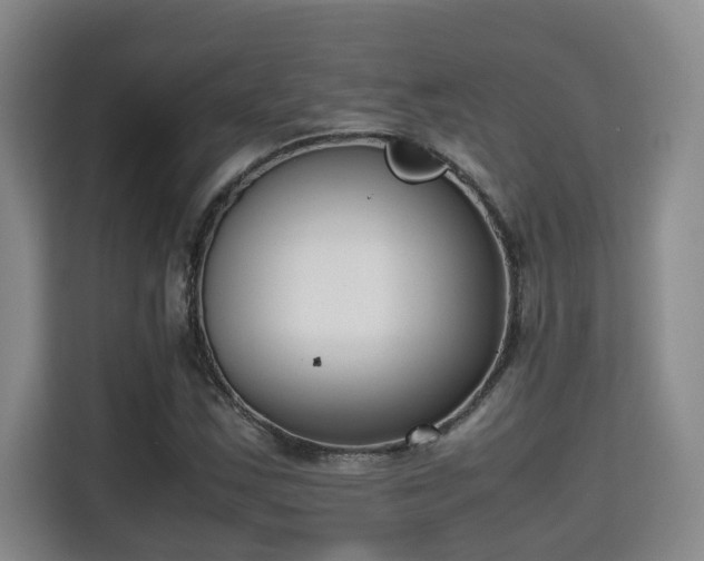 X0000115741163200911191439