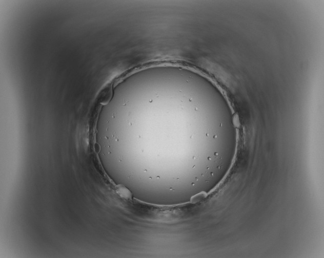 X0000115741165200911191439