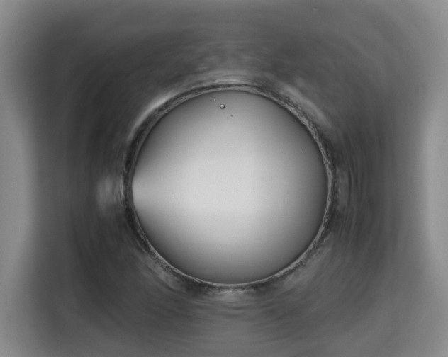 X0000115741166200911191439