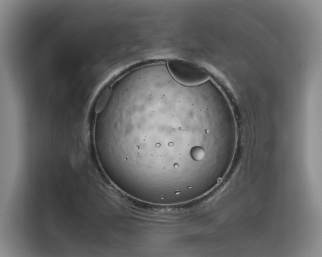 X0000115741167200911191439