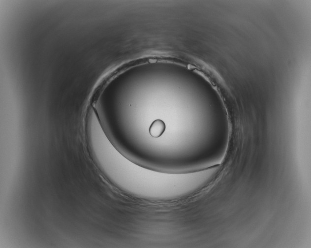 X0000115741168200911191439