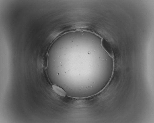 X0000115741169200911191439