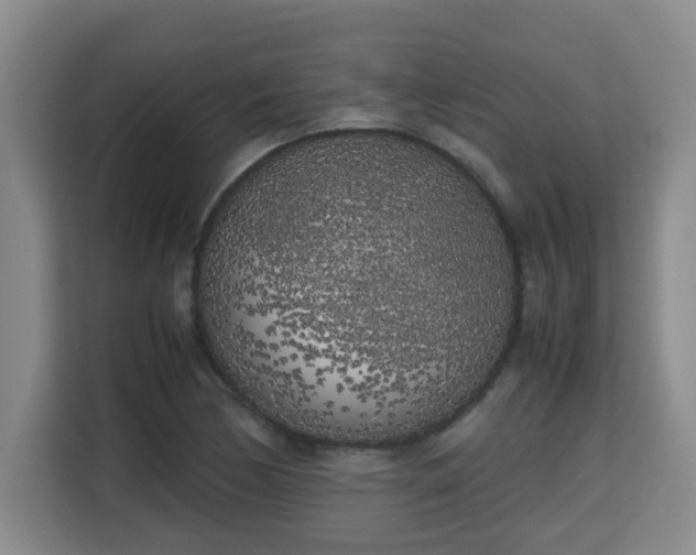 X0000115741170200911191439