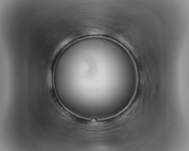 X0000115741171200911191439