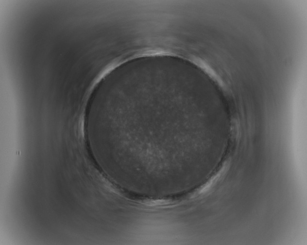 X0000115741173200911191439