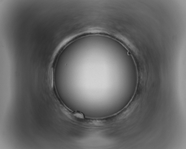 X0000115741175200911191439