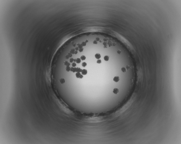 X0000115741178200911191439