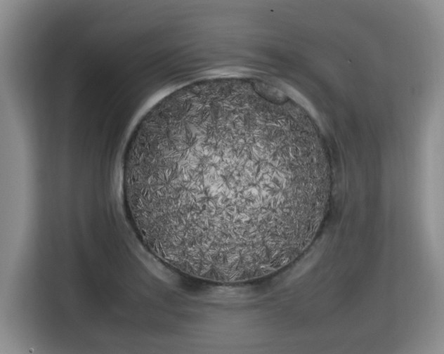 X0000115741179200911191439