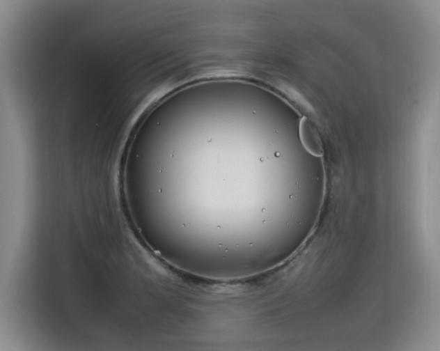 X0000115741181200911191439