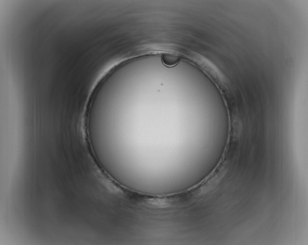 X0000115741182200911191439