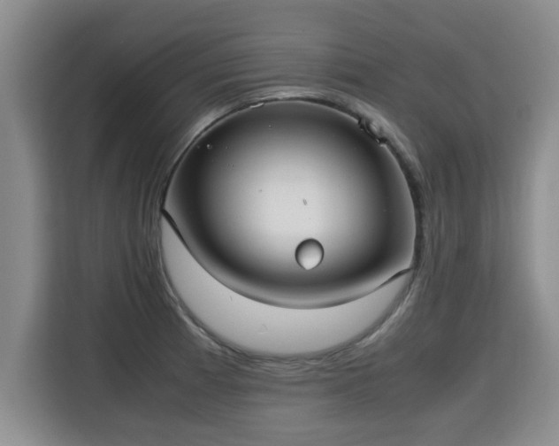 X0000115741185200911191439