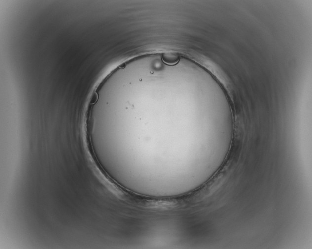 X0000115741187200911191439