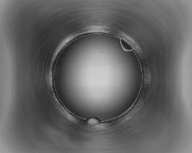 X0000115741188200911191439