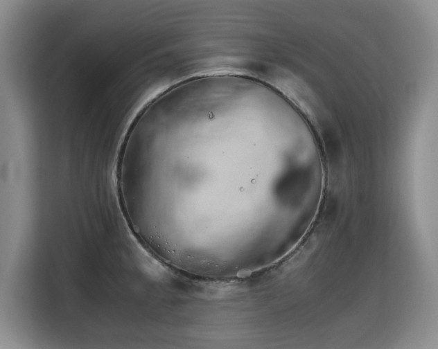 X0000115741189200911191439