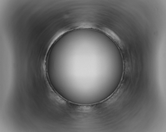 X0000115741190200911191439