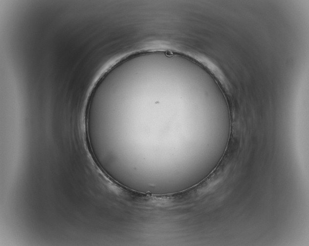 X0000115741191200911191439