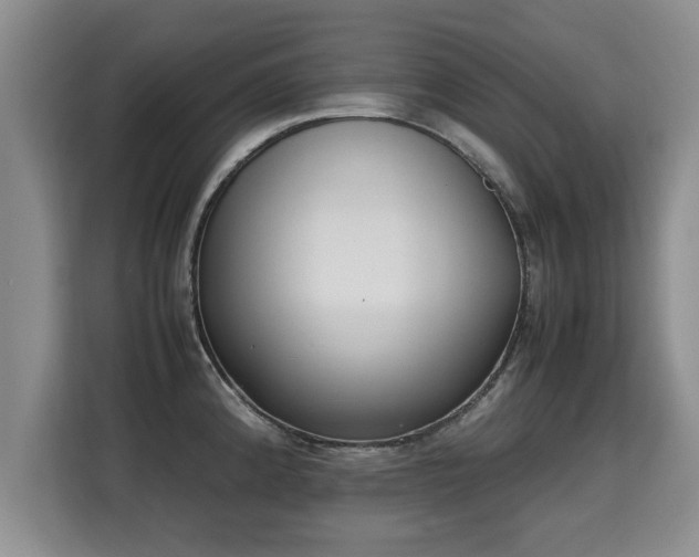 X0000115741192200911191439