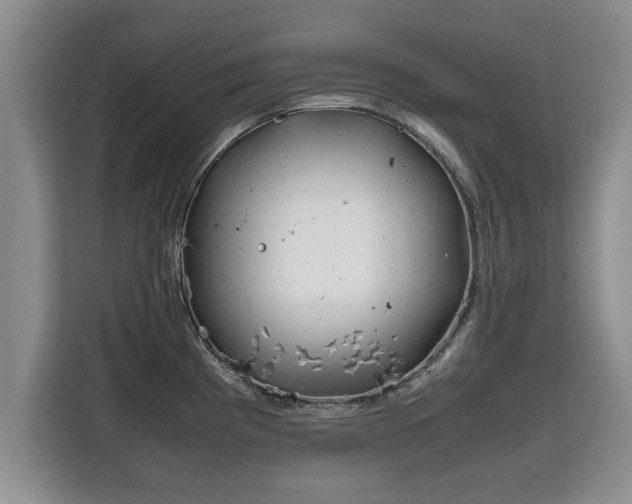 X0000115741193200911191439