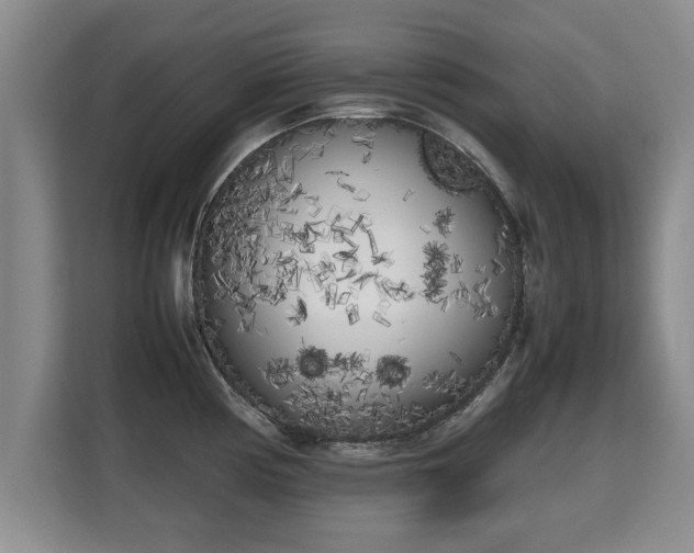 X0000115741194200911191439
