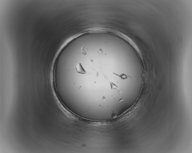 X0000115741195200911191439