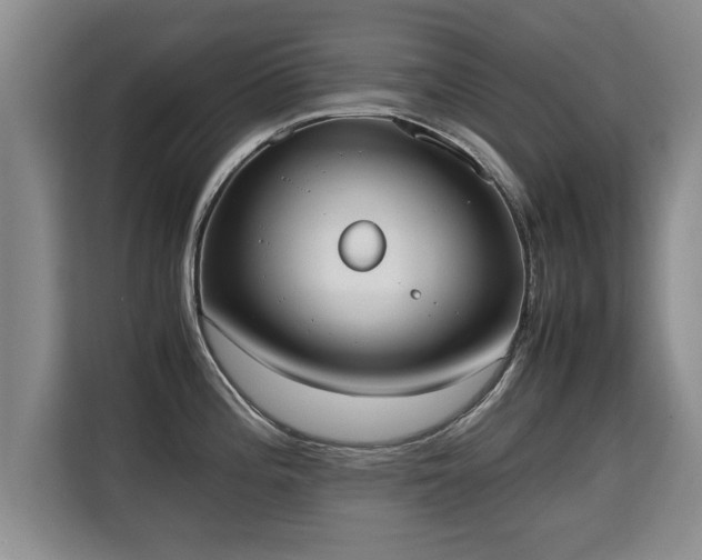 X0000115741196200911191439