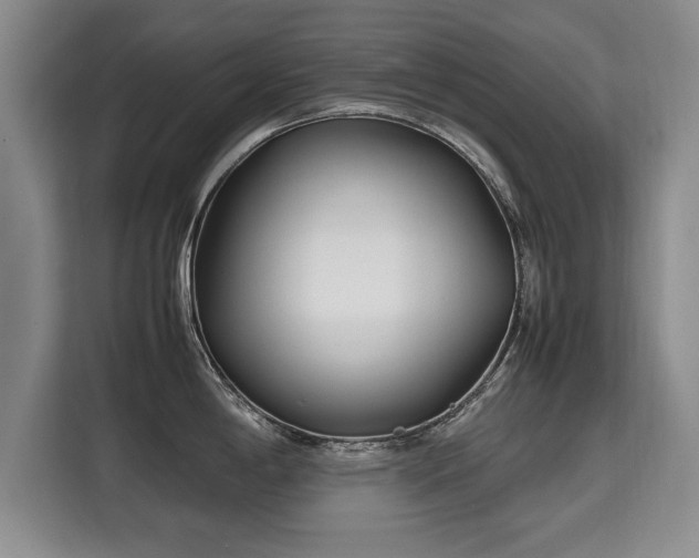 X0000115741198200911191439