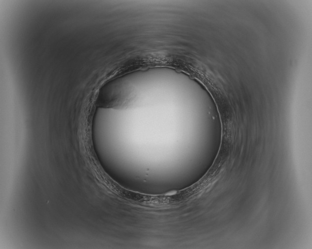 X0000115741201200911191438