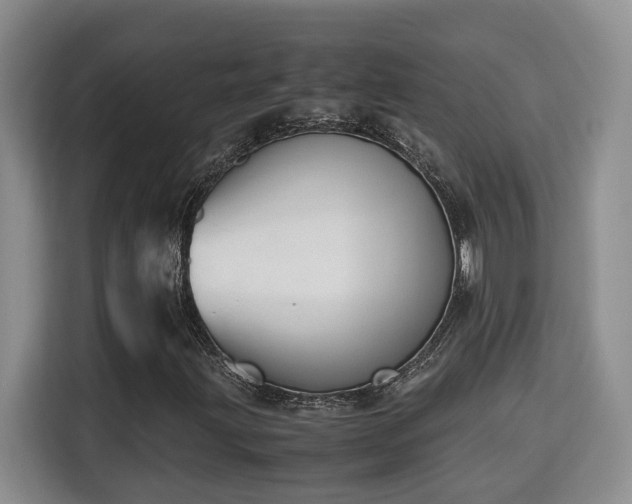 X0000115741203200911191438