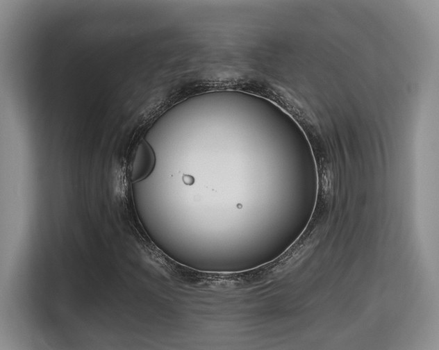 X0000115741204200911191438