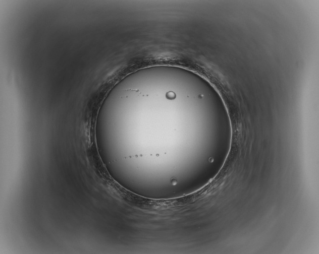 X0000115741205200911191438