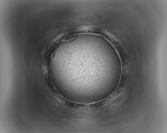 X0000115741206200911191438