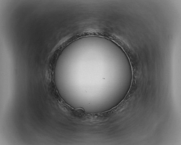 X0000115741207200911191438